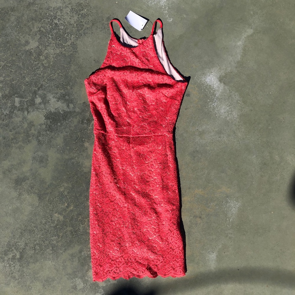 BRAND NEW Nordstrom rack dress